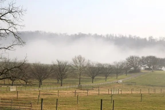Life in the Country!