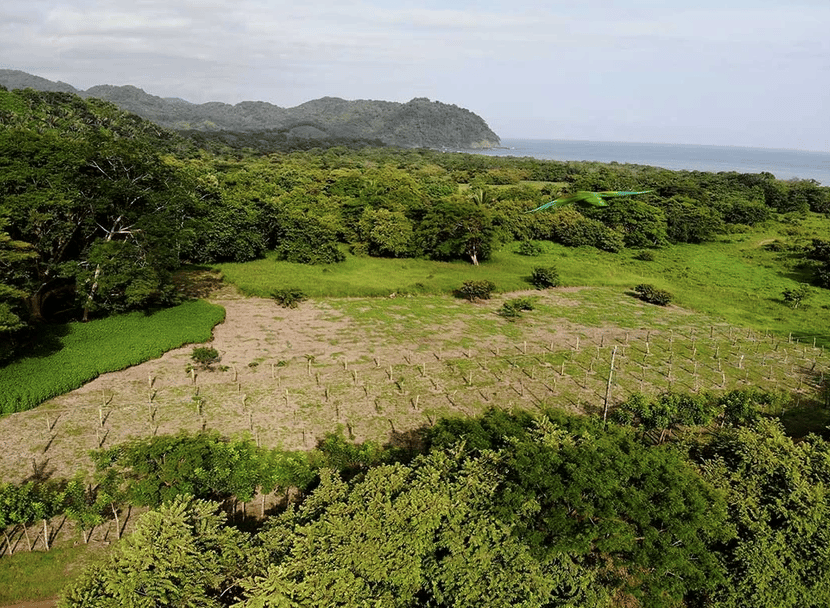 La Reserva Commercial Lot, Playa Camaronal / , Zapotal, Nandayure, Guanacaste