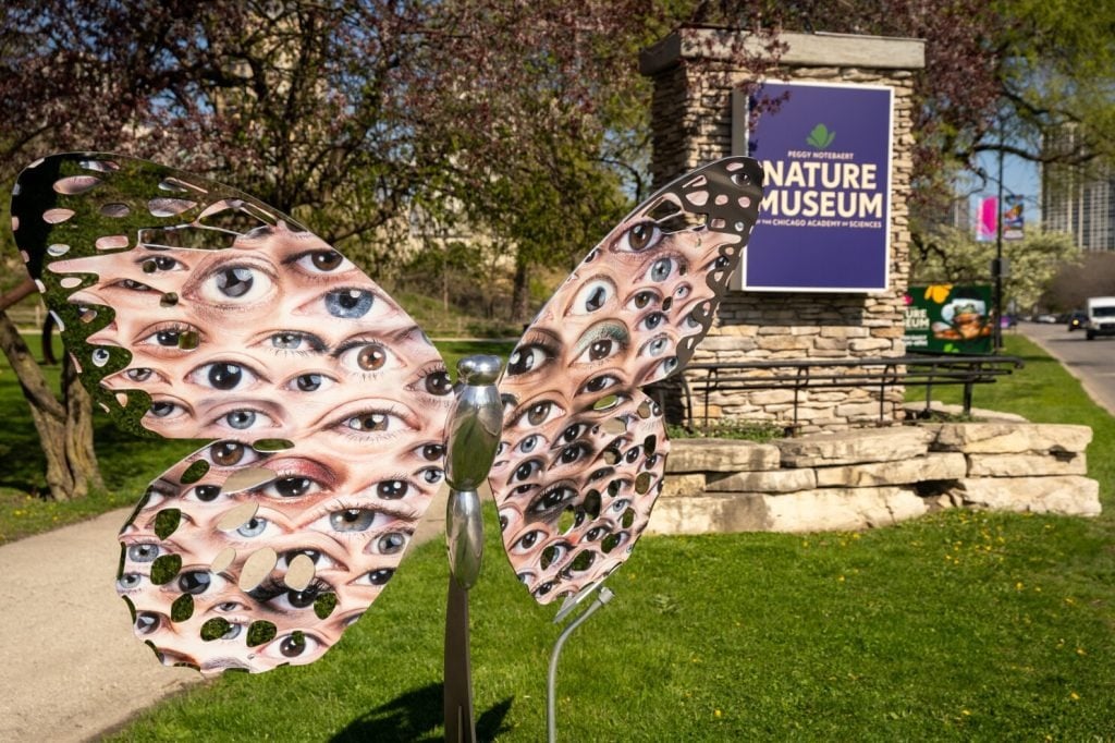 Peggy Notebaert Nature Museum