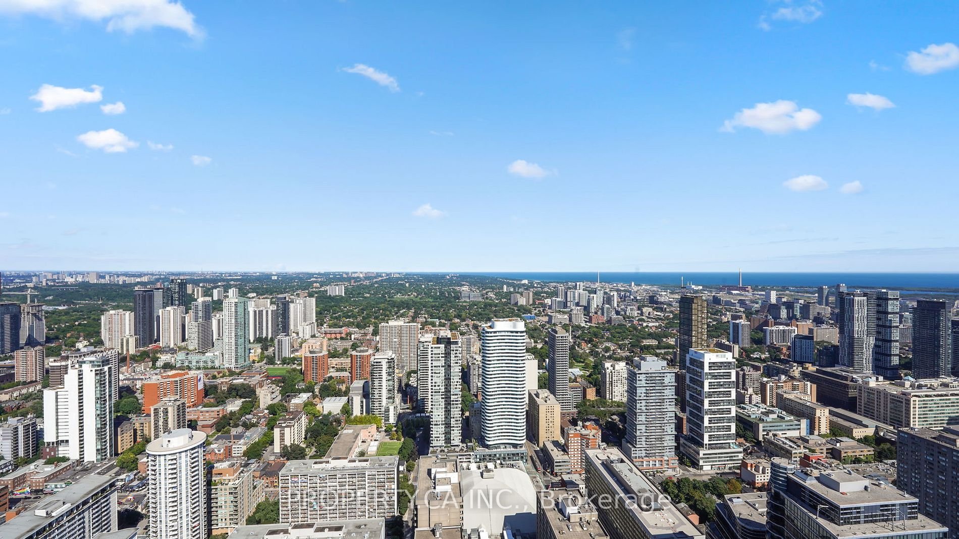 BAY STREET'S CAPTIVATING SUITE