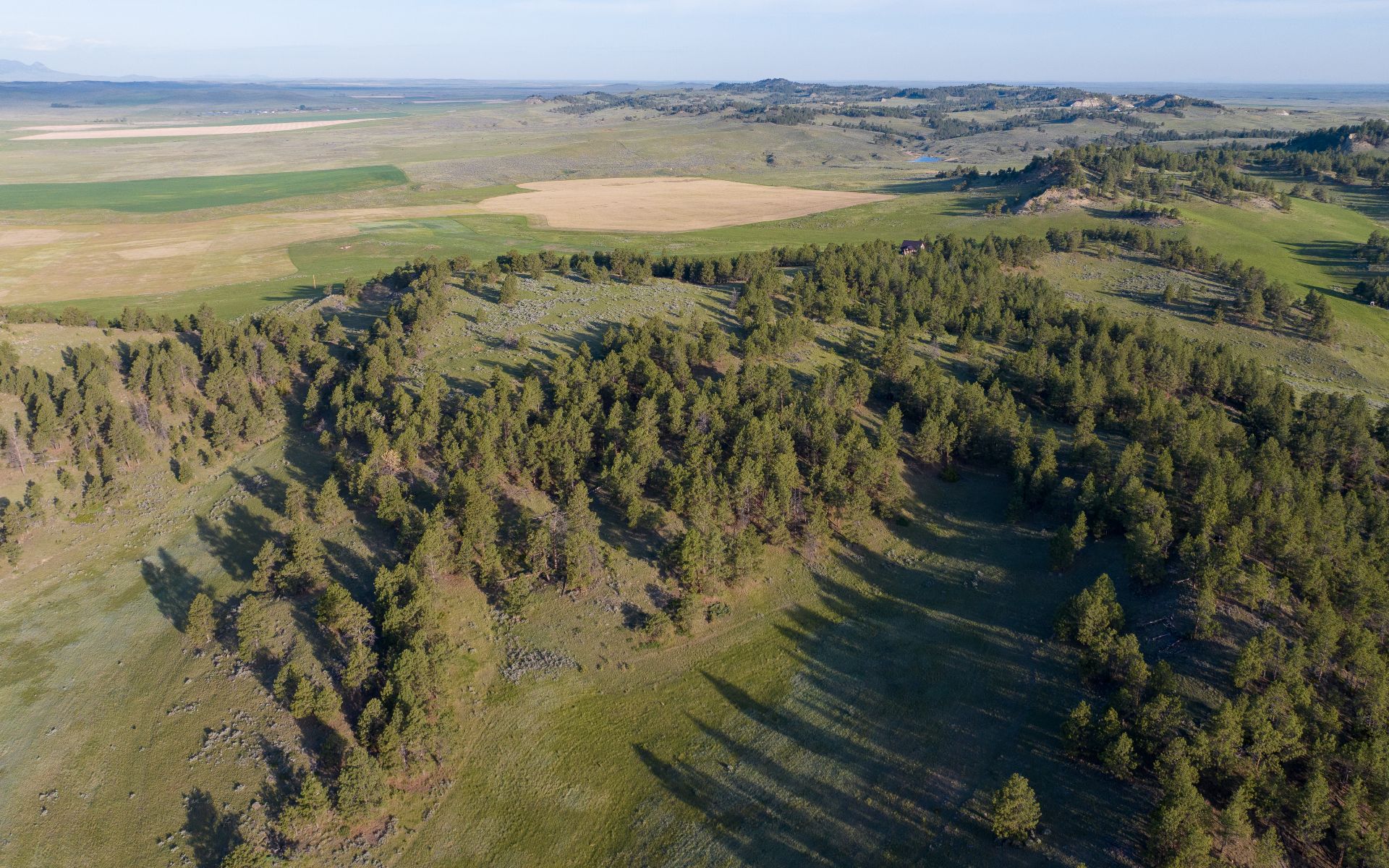 Elk Rich Ranch