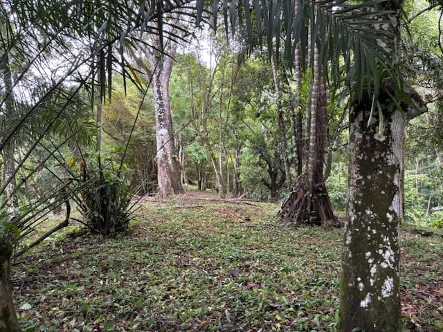 17.85 ACRES – Stunning Large Land With 2 Waterfalls Near Dominical Beach!!!