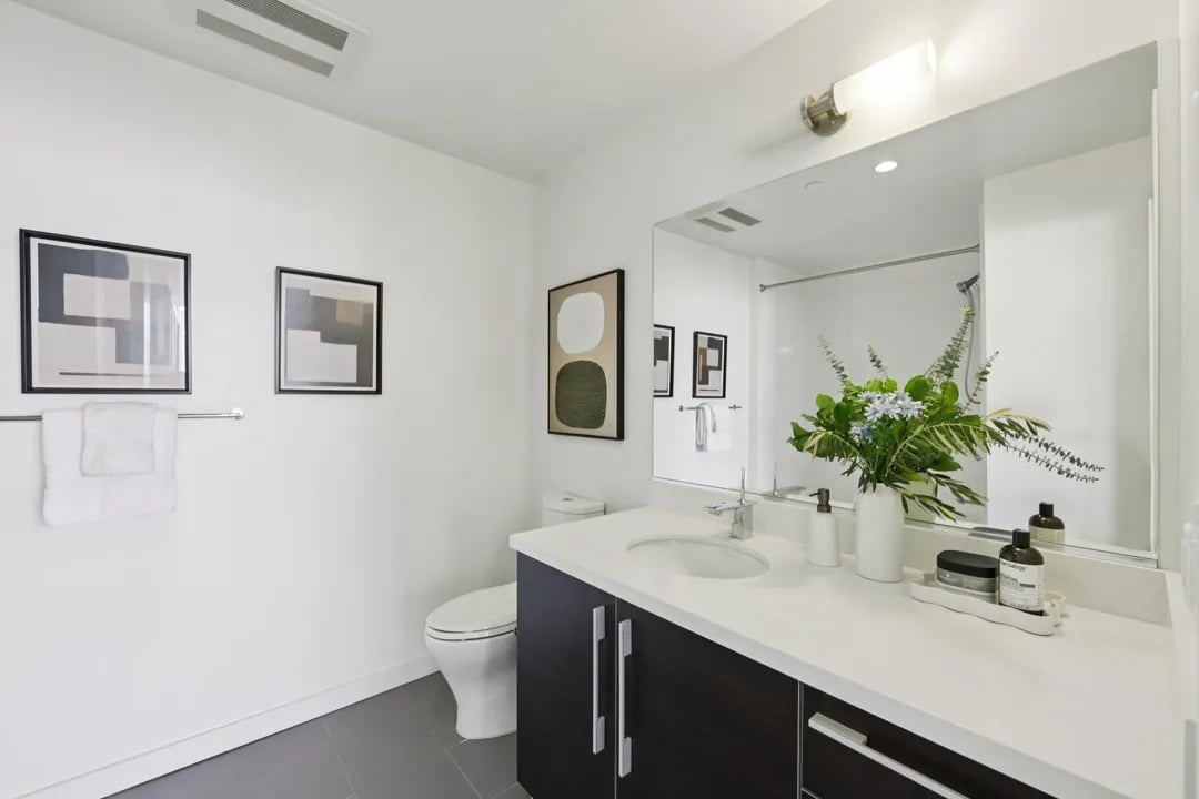 Priceless Panoramas in Mission Bay