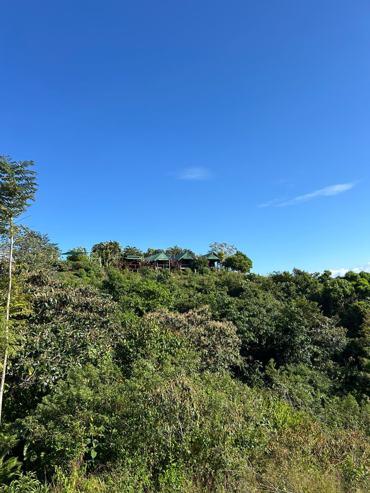 67 acres development (15 titled lots) with breathtaking views in Sierpe