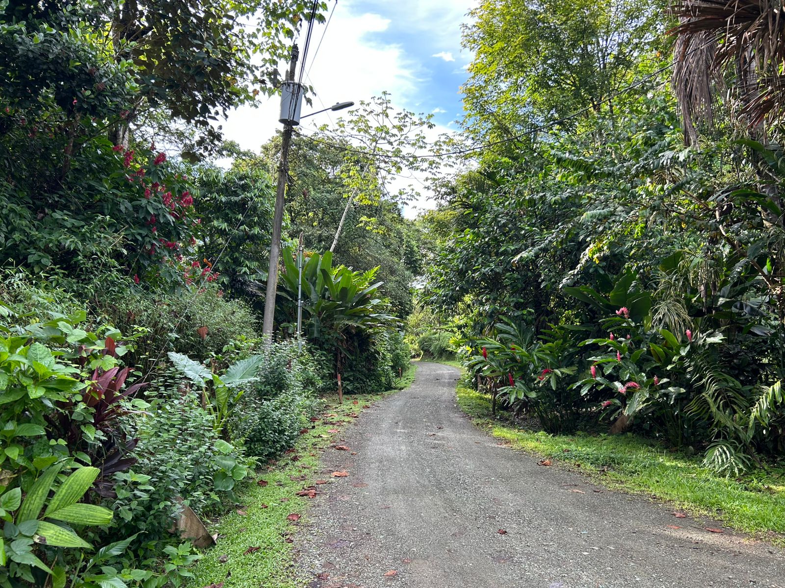 60 Acre Fully Sustainable and Impactful Conservation Initiative Near Golfito