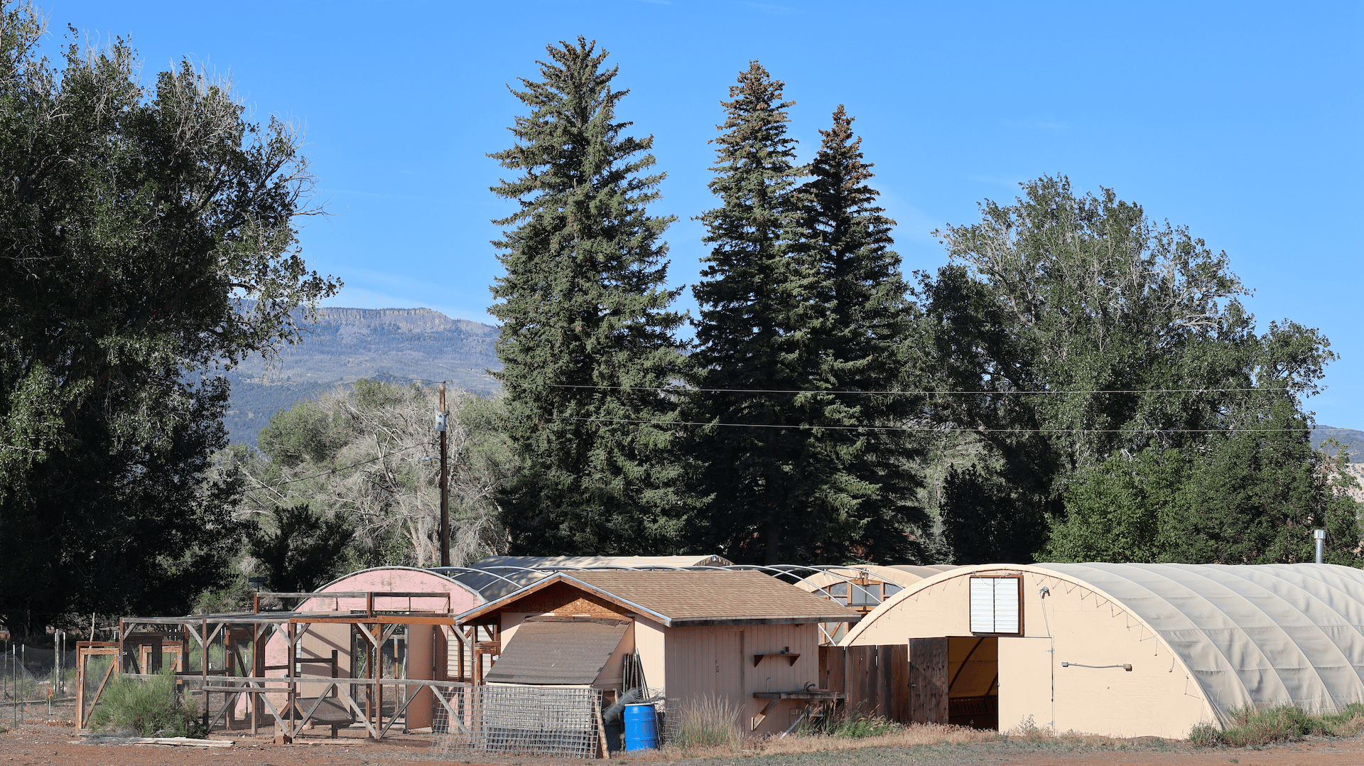 Torrey Land & Greenhouses