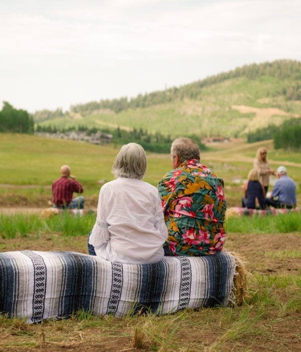 Music in the Meadows