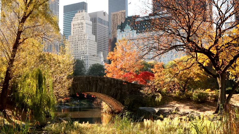 October 2025 Newsletter