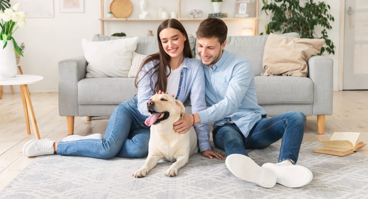 Pet-Friendly Home Features That Boost Value