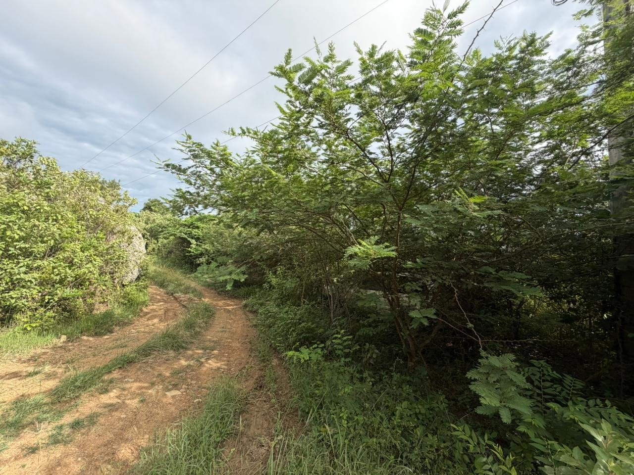 1096 George's Northside 0.68 Acre Lot