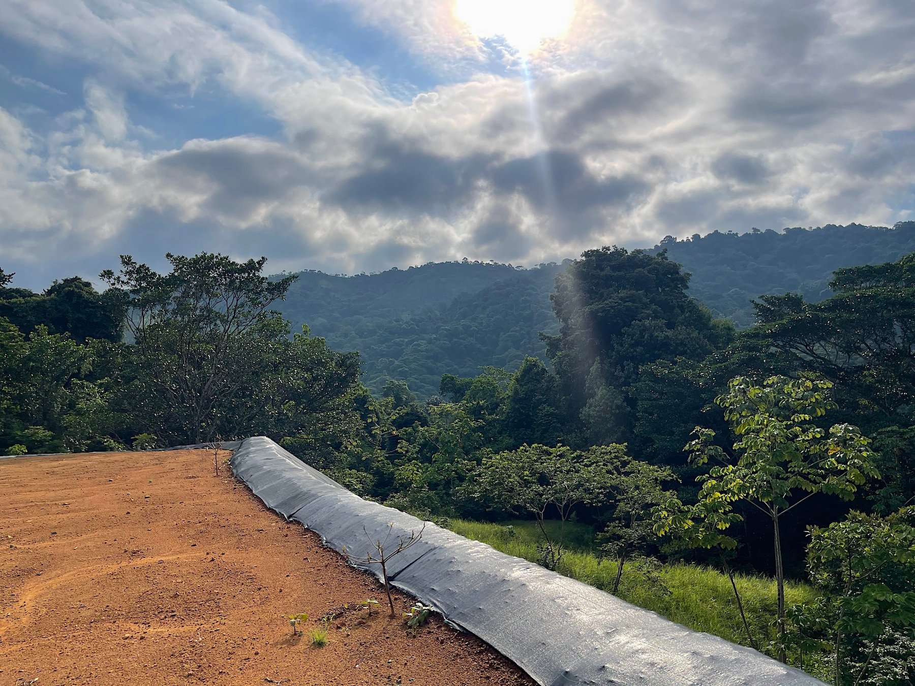30-ACRES OF LAND WITH RIVER ACCESS, ROADS, AND BUILDING PADS IN LAGUNAS