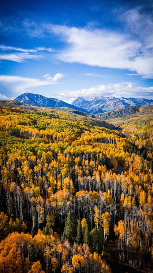 Kebler Pass in the Fall: Colorado’s Golden Wonderland