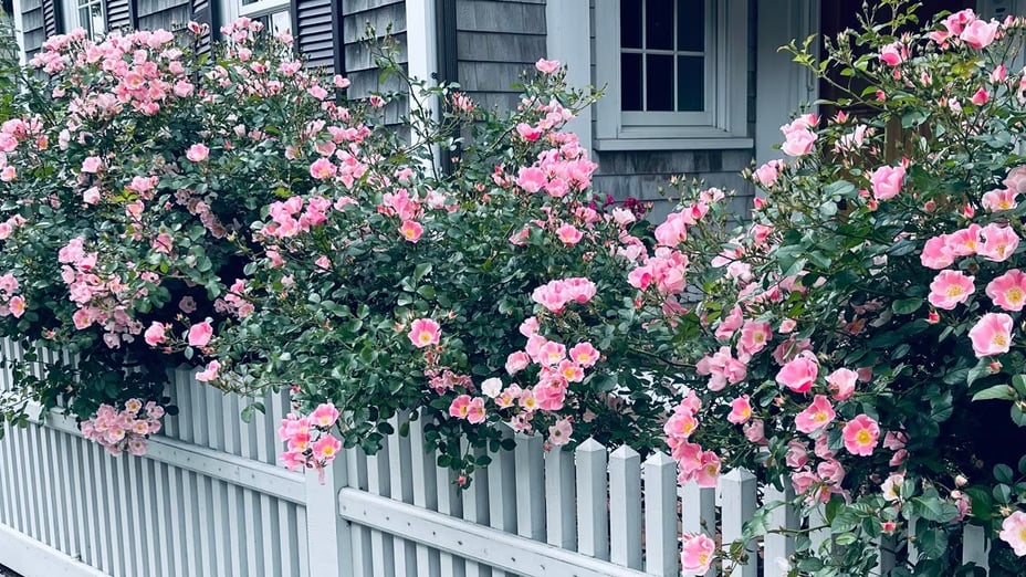 Forget Landscaping—This Simple Fence Upgrade Can Help Sell Your Home