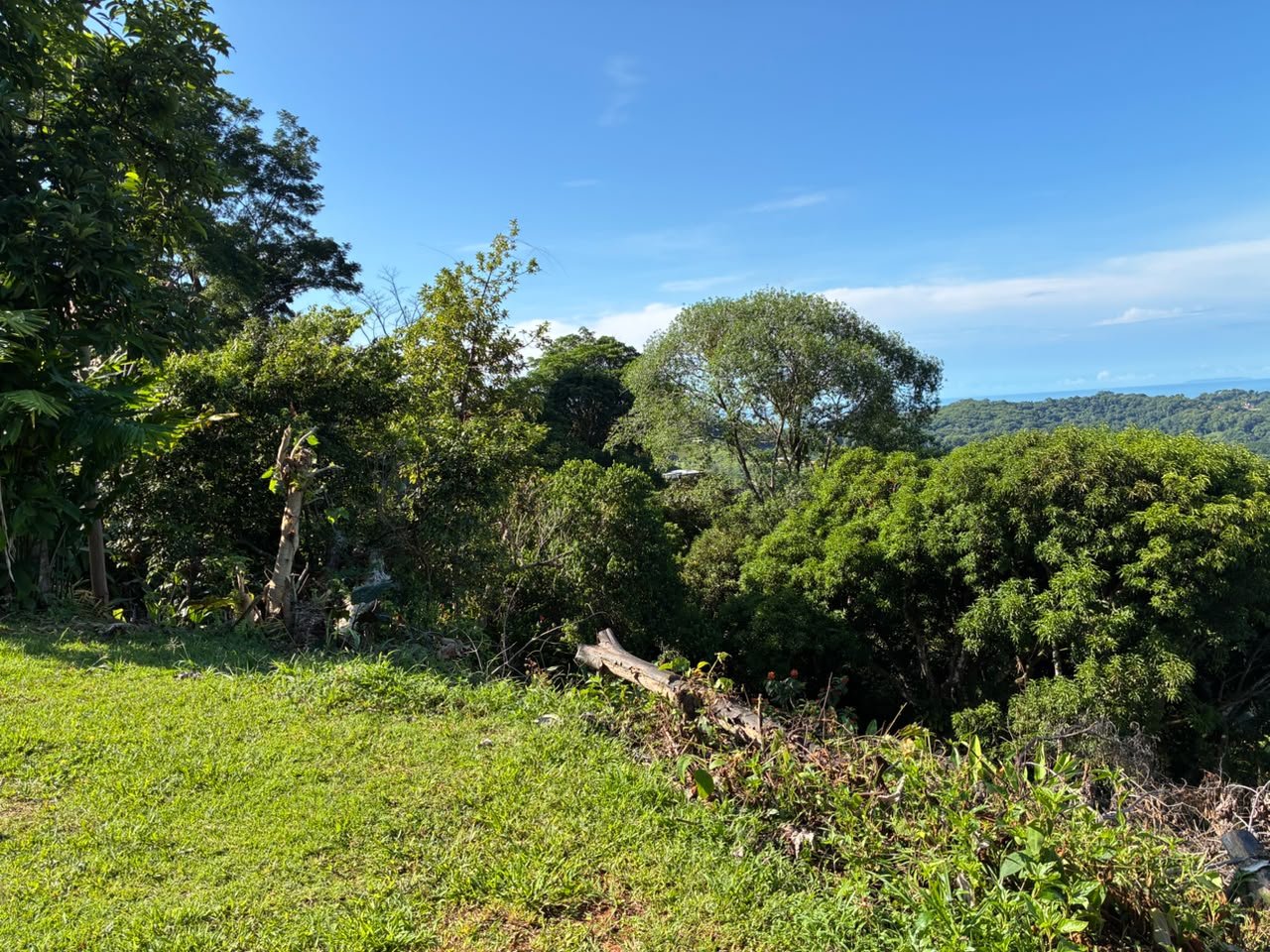 Beautiful Ocean View Lot in Ojochal Phase9