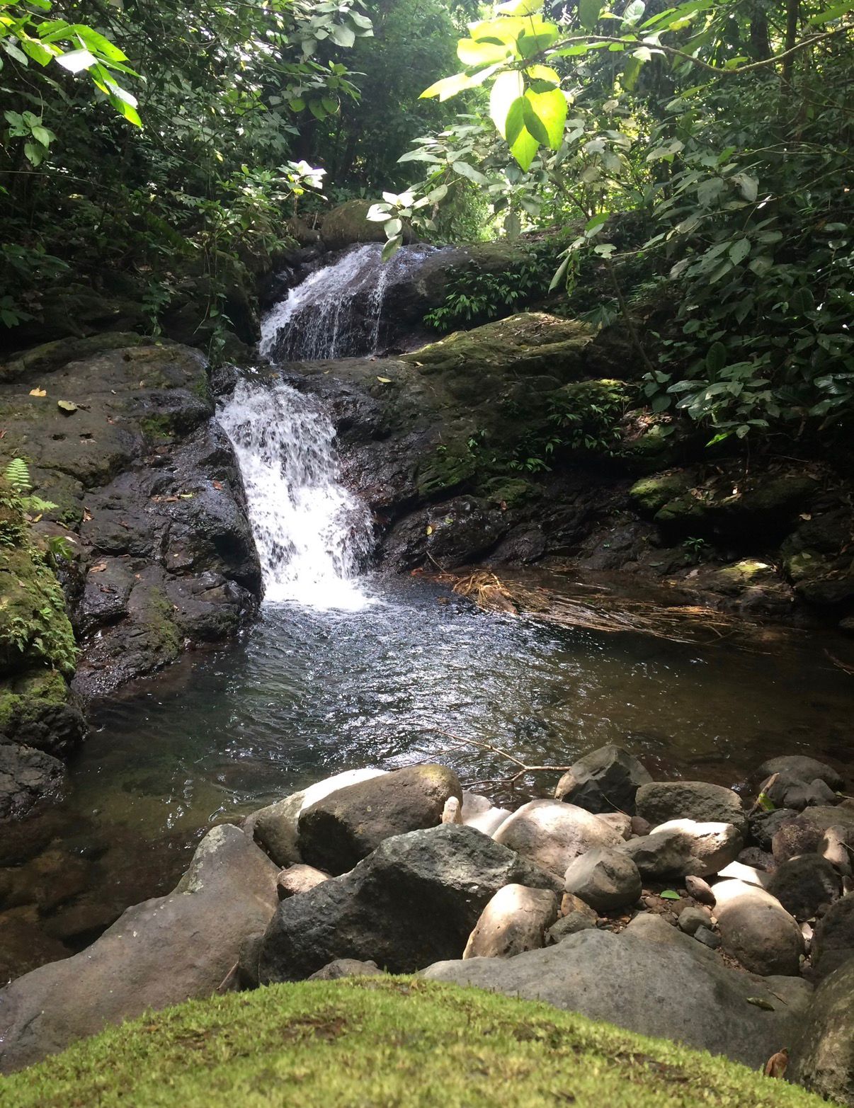 Casa OdiSea – Private Ocean View Estate with Waterfall Access in Portasol, Costa Rica