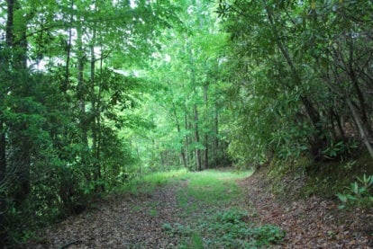 Sylvan Habitat