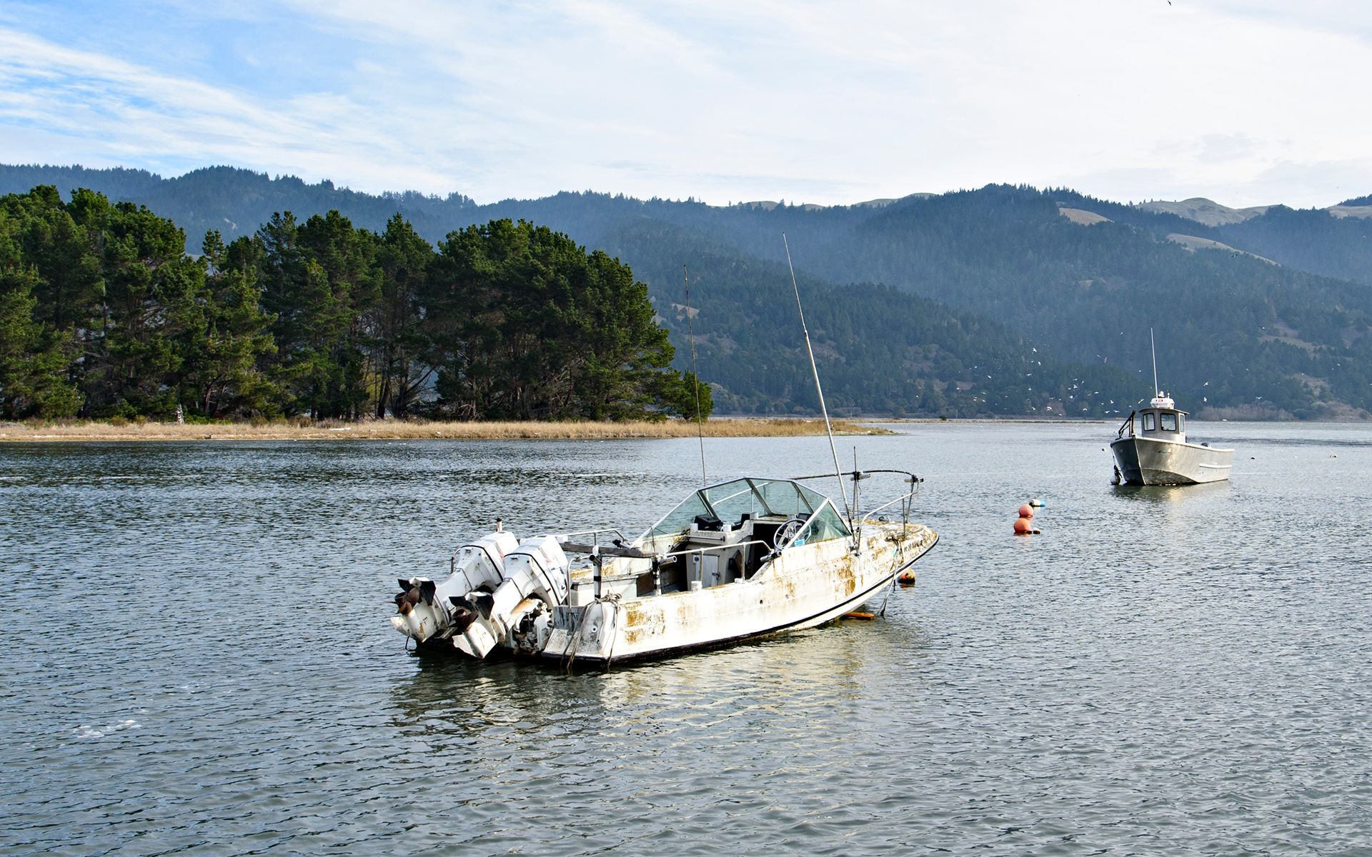 Bolinas picture