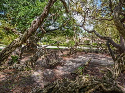 Shaded brick-paved seating area beneath sprawling trees, with a wooden bench.