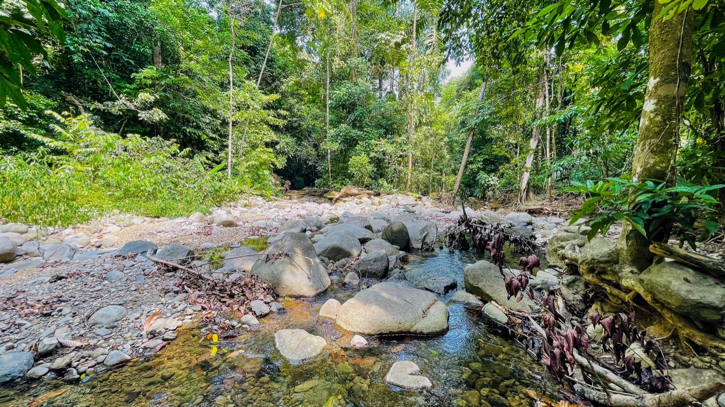 5.32-Acre Riverfront Property with Multiple Homes & Expansion Potential, The Possibilities are limitless!