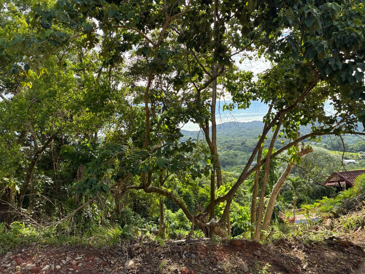 Affordable Ocean View Lot in Ojochal Phase9