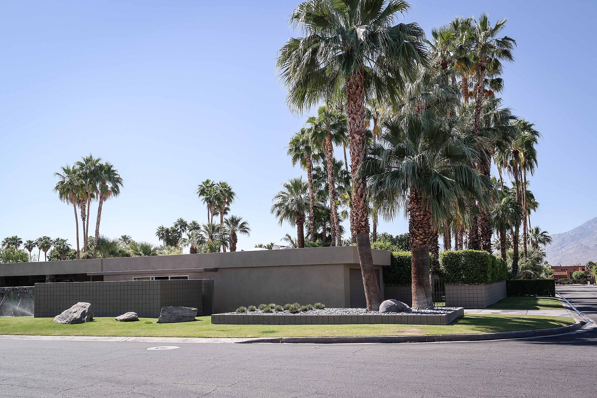 Mid-century modern house in Palm Springs with palm trees and desert landscaping