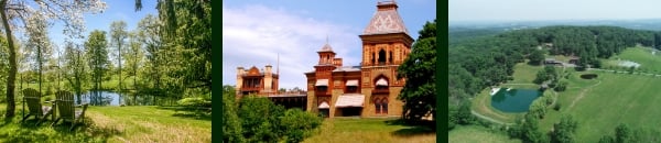 Choosing The Wrong Realtor Can Be Costly