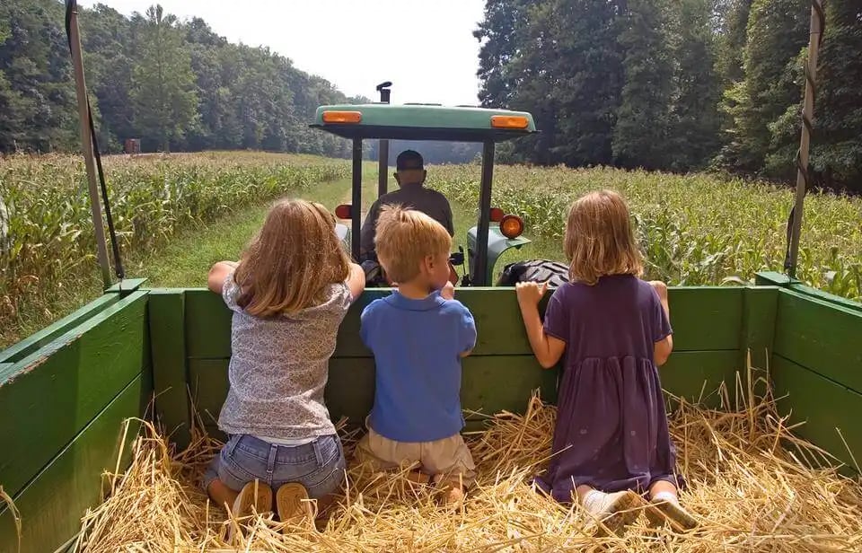 2026 Fall Festivities on the Space Coast