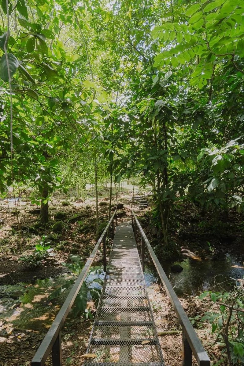 Gorgeous New Rainforest Villa with Pool and Creek, 20 minutes from Quepos