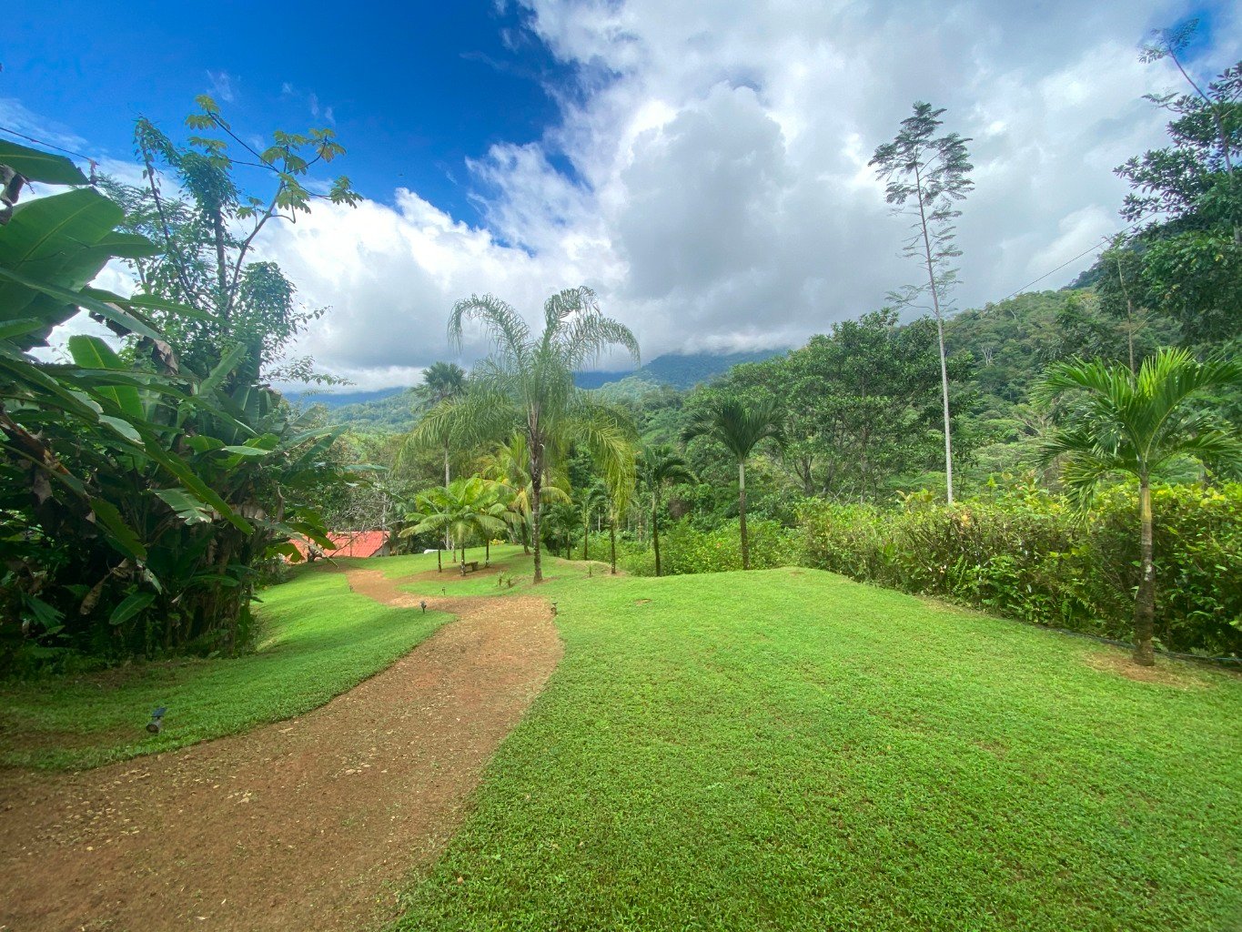 Stunning 3.5-Acre Ocean View Property in Costa Rica – Endless Possibilities Await!