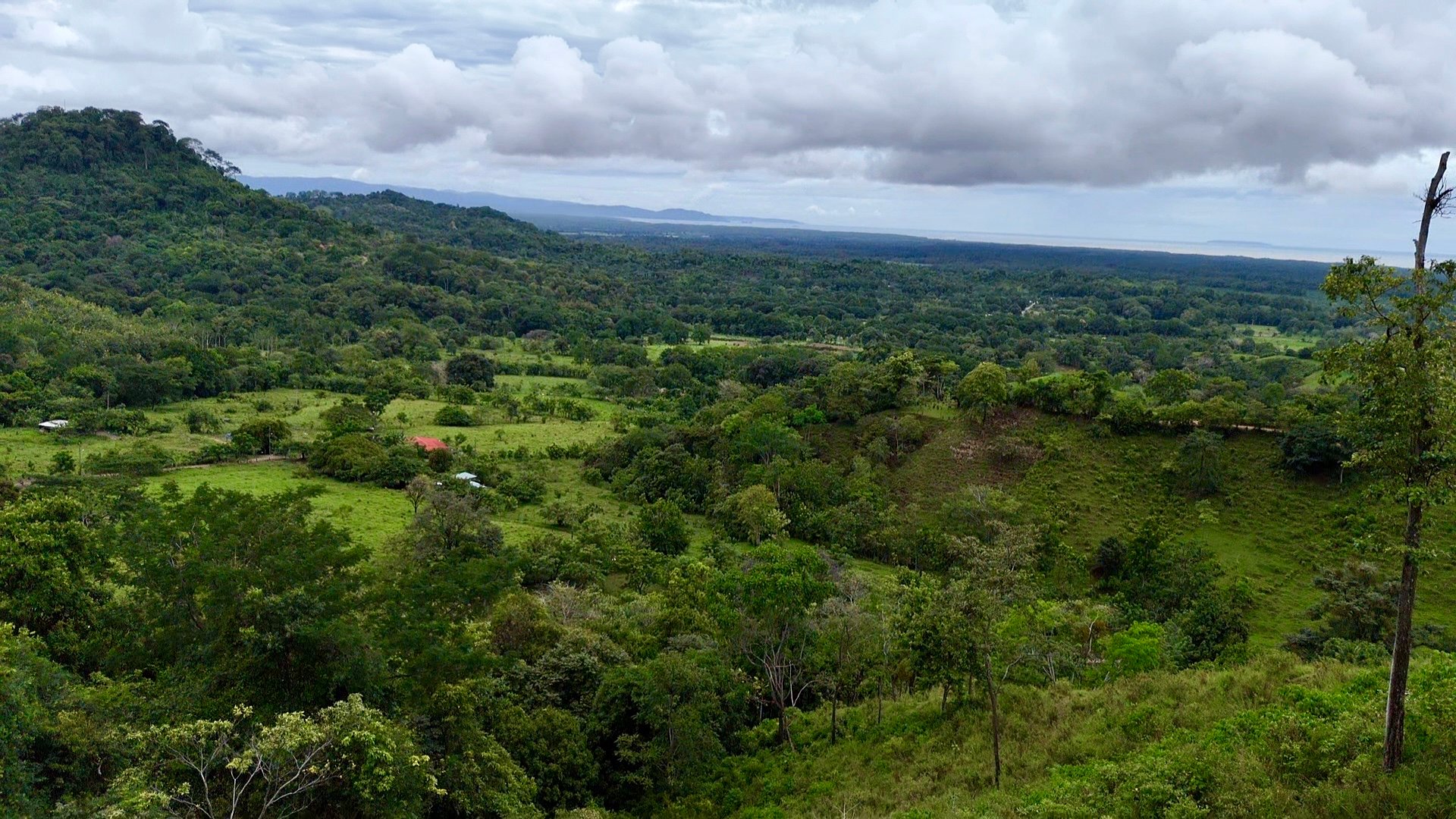 Ocean View Sanctuary in San Buenas – 4.94 Acres of Pastures & Easy Accessaccess