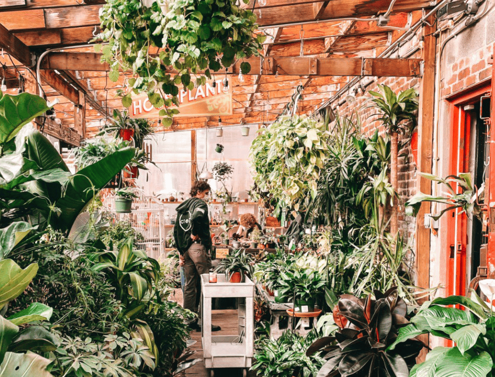 Why Staging Matters (Even in Trendy Williamsburg)