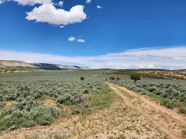Open sagebrush landscape with a winding dirt track beneath a broad blue sky.