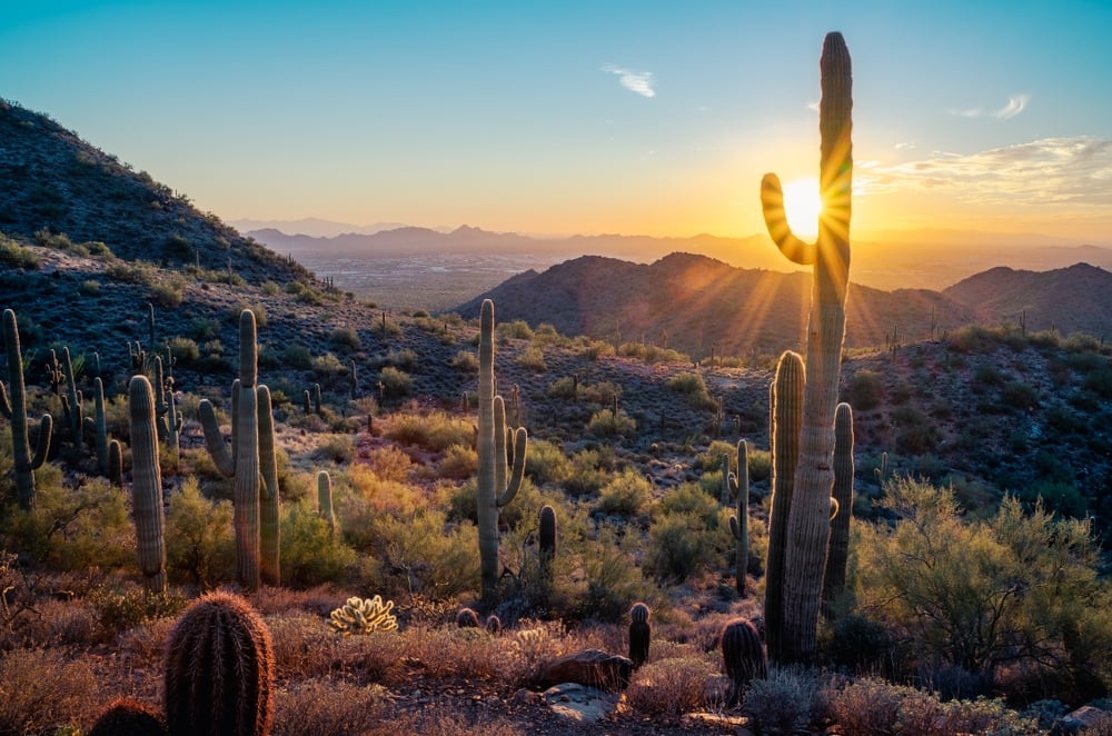 Tucson vs. Scottsdale