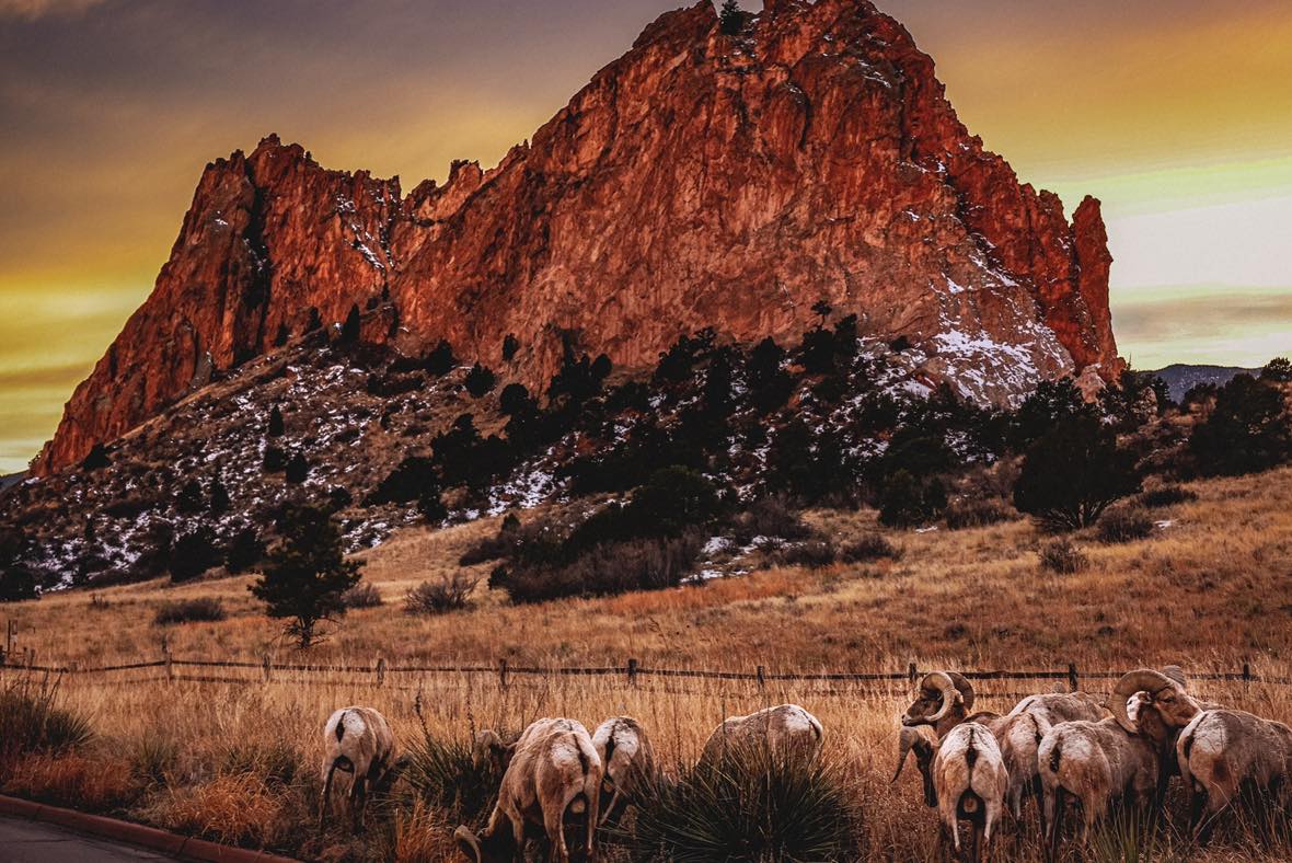 Garden of the Gods: Where Colorado Springs Comes Alive