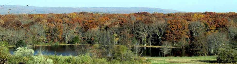 Union Township 