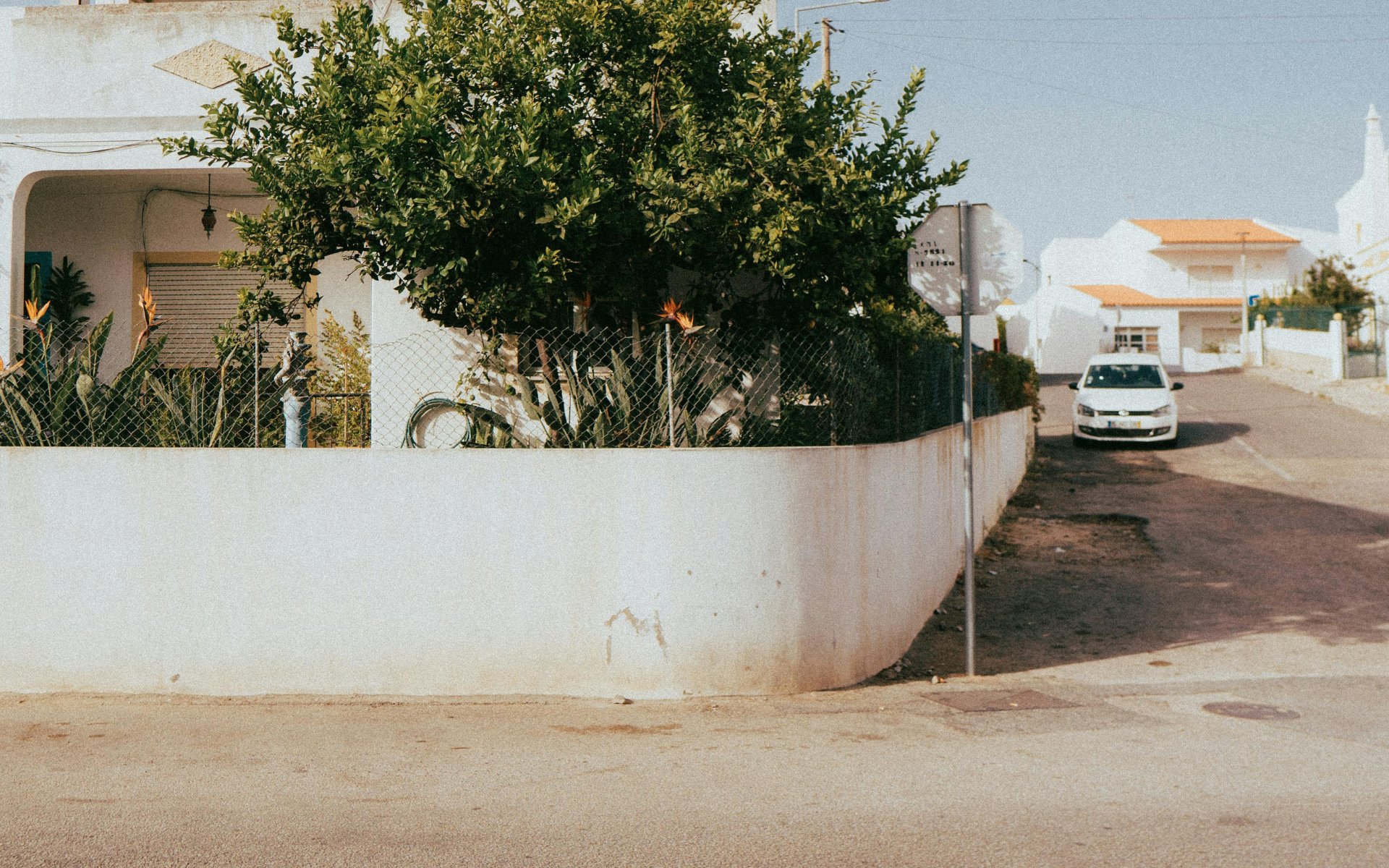 Small residential lot with a leafy tree behind a white wall and chain-link fence beside the street.