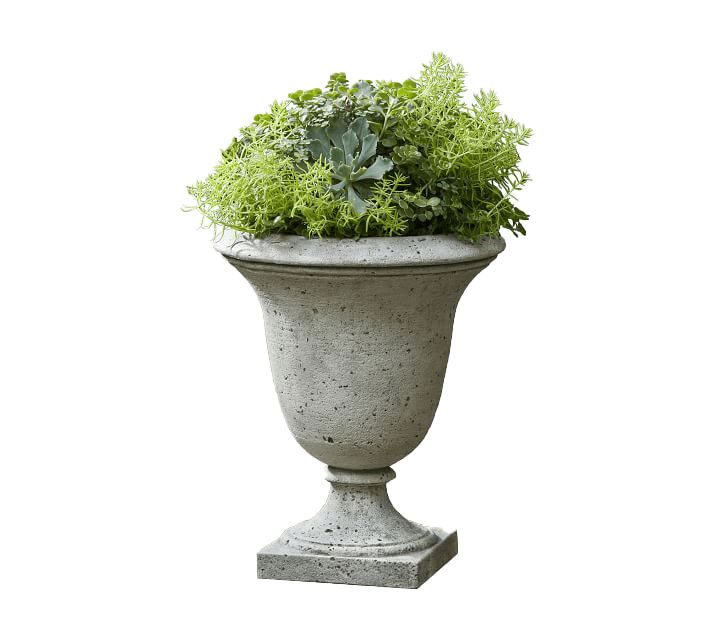 Curb Appeal: Southern Traditional