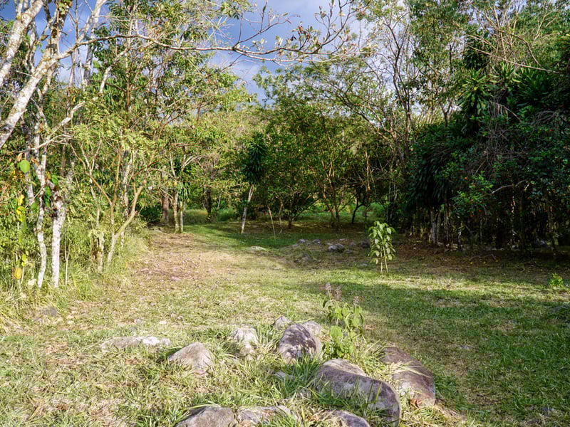 Reduced! - Newly Built Home Near Rivas with 6 Acres on the Buena Vista River