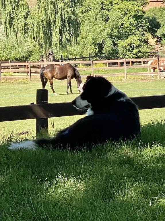 Whirlawind Ranch