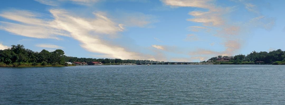 How a Realtor Can Guide You in Searching for a Milton Home