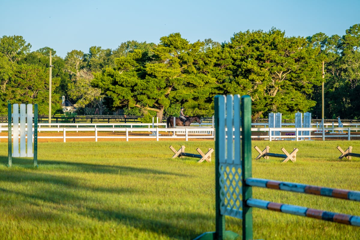 Pricing Strategy by Segment in Rose Hill
