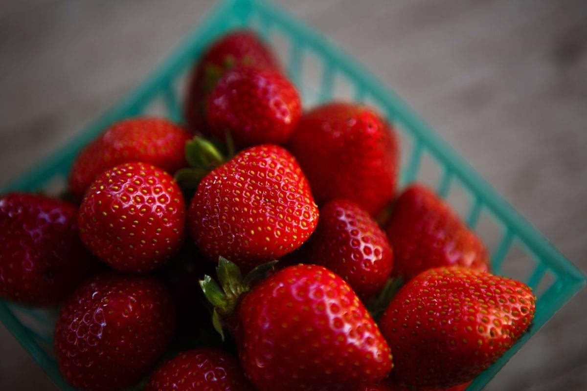 Savor Berries, Apples and More From These Sonoma Farms and Roadside Stands