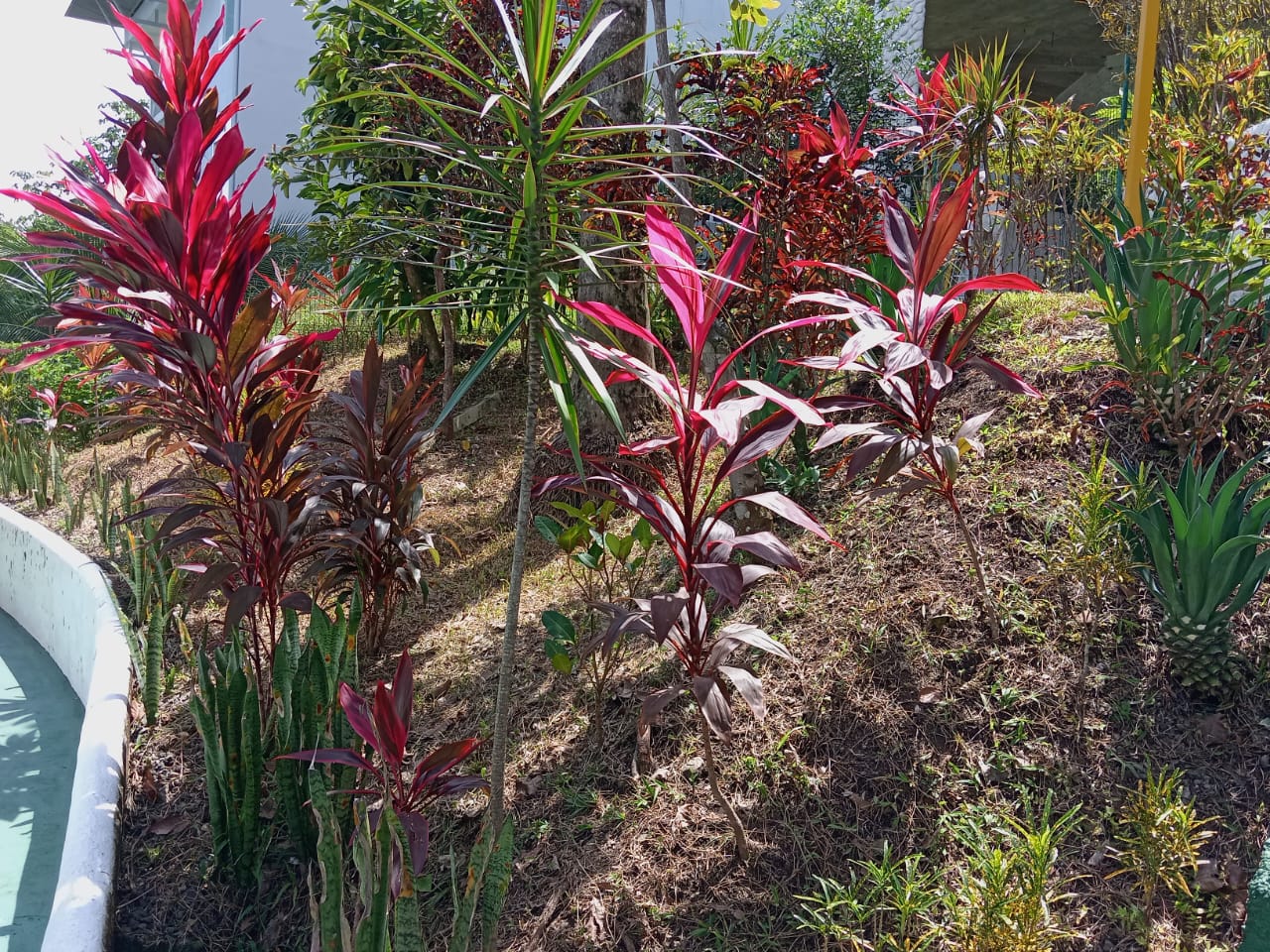 M. A. Ocean View Apt.