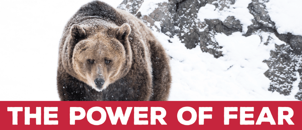 The Power of Fear