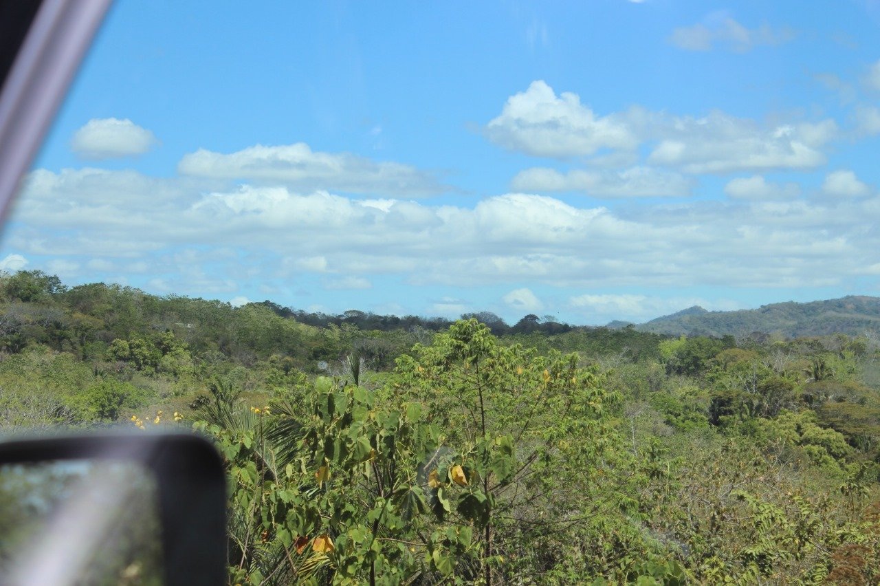 San Juanillo Farm | Large-Scale Ocean View Land with Investment Potential