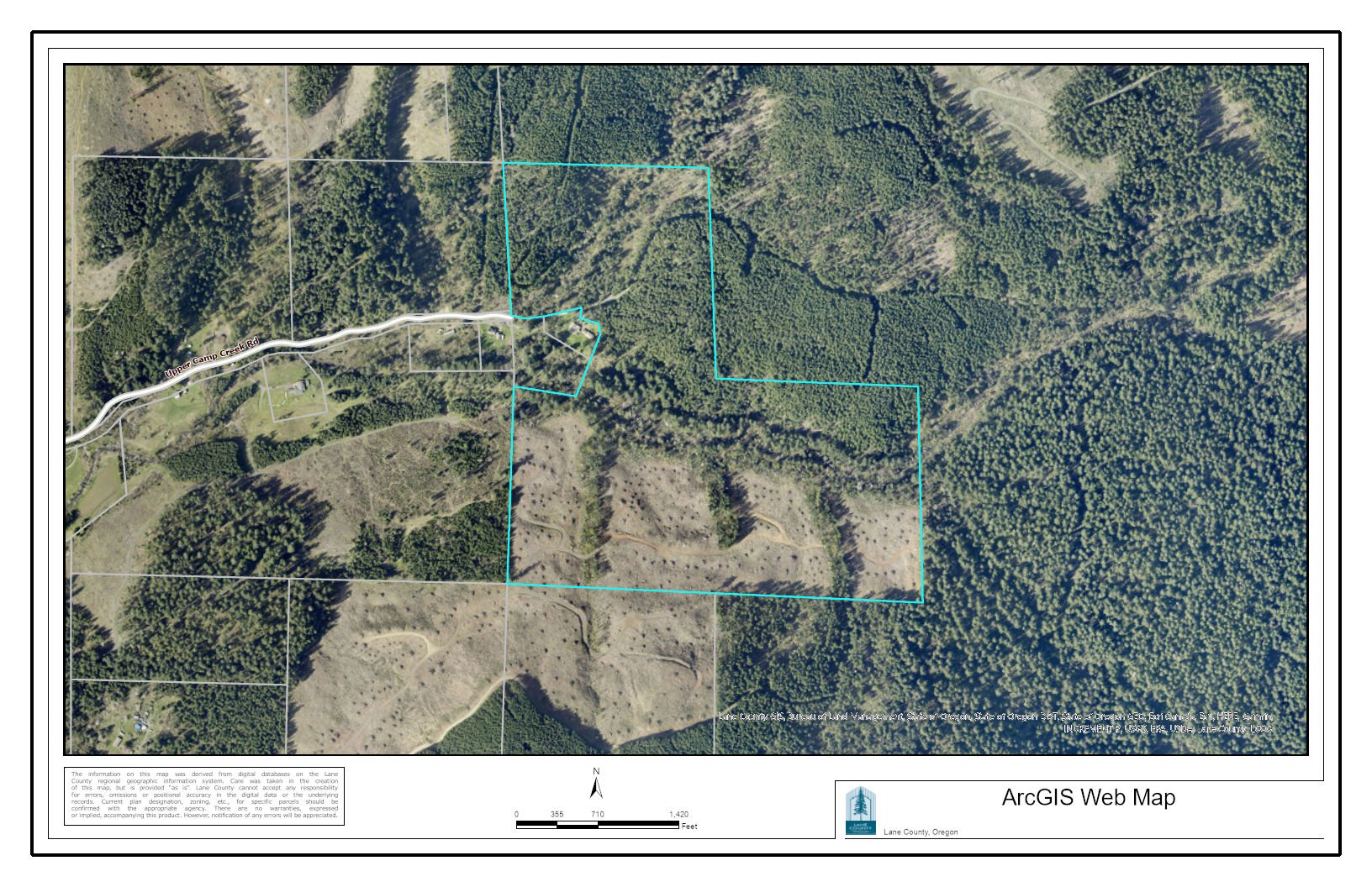 Camp Creek Forest