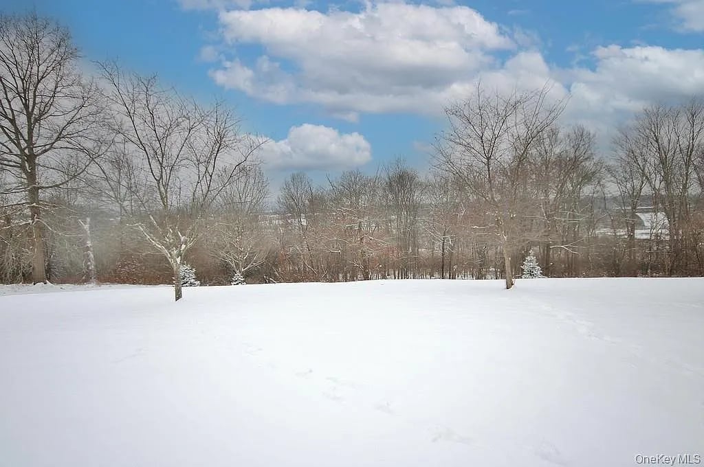 1065 Dolsontown Road