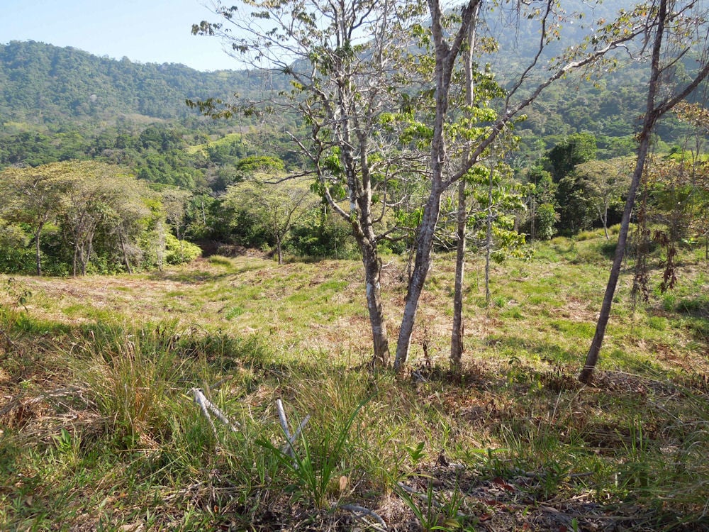 Coastal Development Acreage, Dominical, Puntarenas