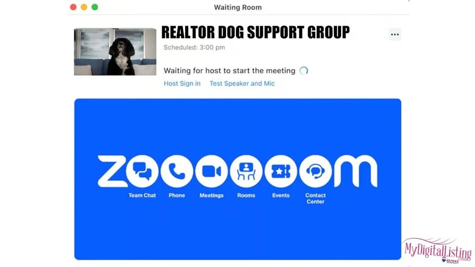 Realtor Dog Support Group Zoom Call