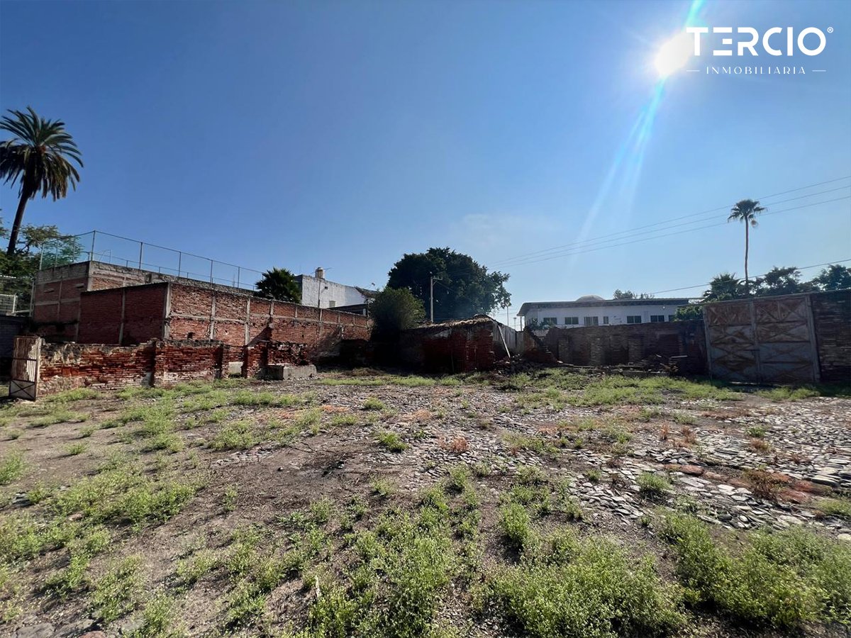 Propiedad en Renta uso de suelo Mixto Ameca $60,000.00 MN